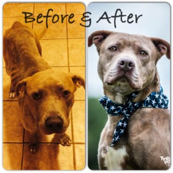 buzz-before-and-after