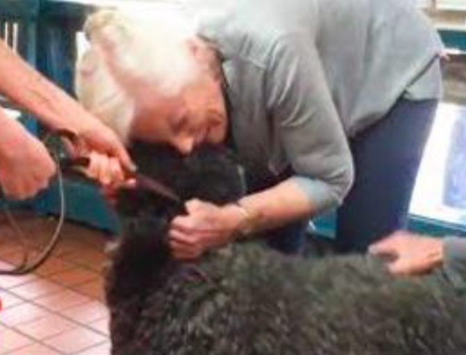 Marin Humane