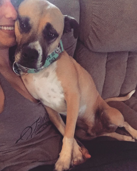 instagram/@tarasfostersaz