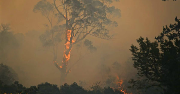 Source: Mark Vogler California wild fires burned down many homes in Sonoma County.