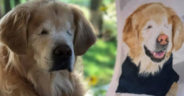 Source: Facebook/Smileytheblindtherapydog