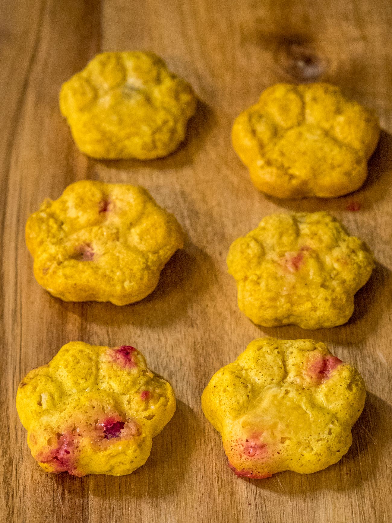Cranberry Pumpkin Dog Treats 12 Tomatoes