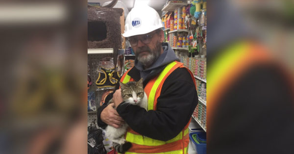 Source: Twitter/NYCTSubway Maintenance supervisor Tom Doerbecker has been credited with saving the cat.
