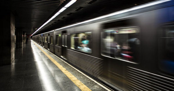 Source: Pexels The subway cat was found near Prospect Park in New York City.