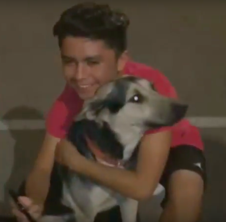 News 4 Tucson KVOA-TV