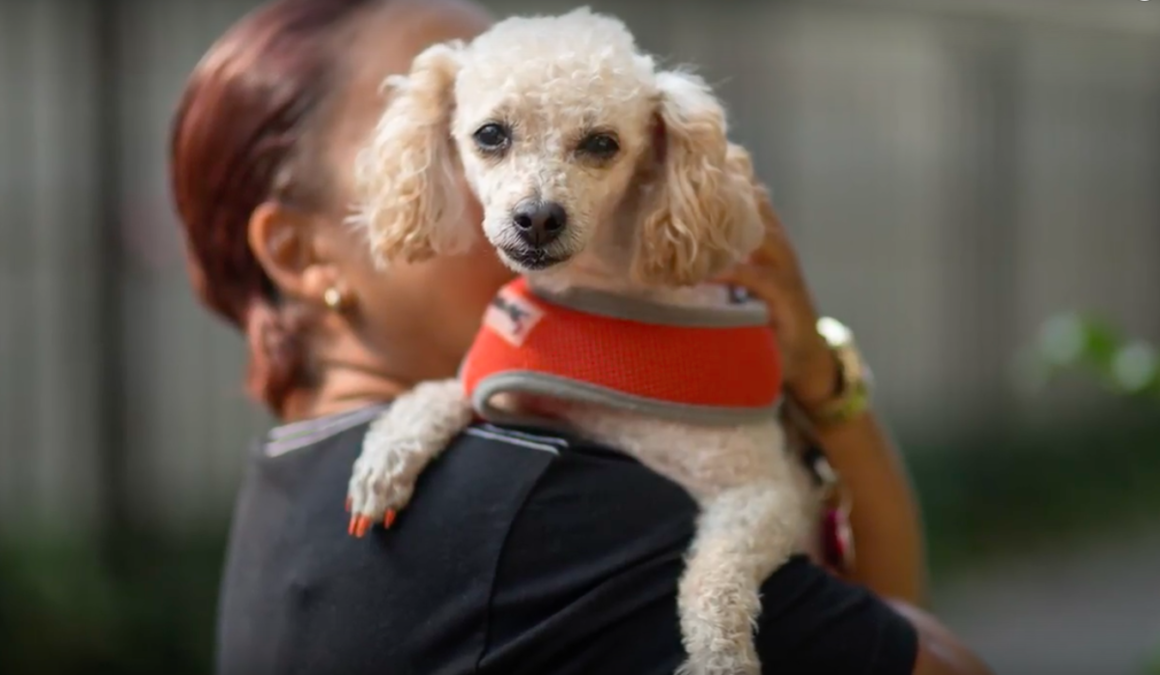 aspca