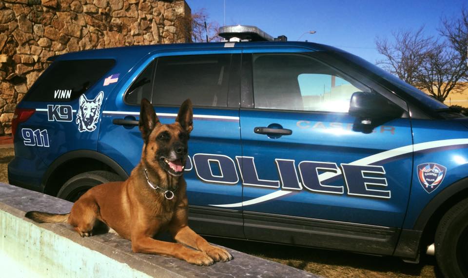 pbpd