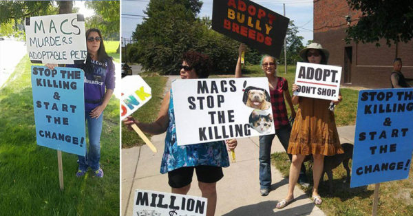 Source: Facebook/Demanding Change at Michigan Anti Cruelty Society