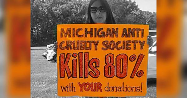 Source: Facebook/Demanding Change at Michigan Anti Cruelty Society