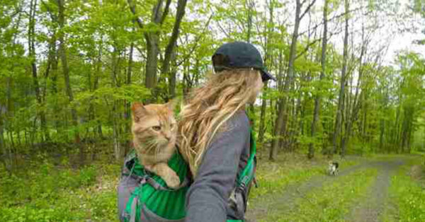 Source: Facebook/Amber Rose Pitcher Amber Pitcher wears a special backpack to carry Ollie while hiking.