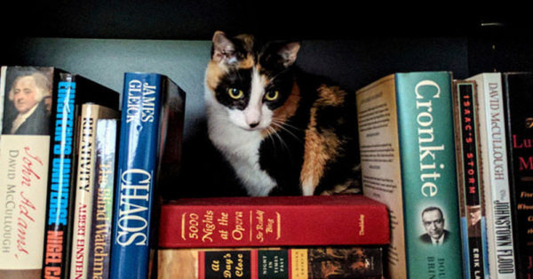 Source: flickr/Steve Rainwater Not all library cats are unwelcome.