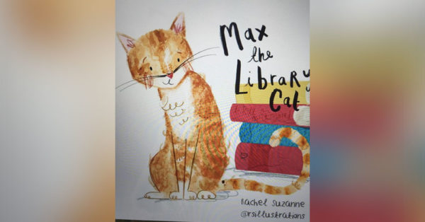 Source: Instagram/cool_cat_max_and_gracie