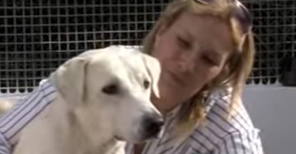 Source: YouTube/ForesterTV Hastie and a dog from Precious Pets shelter.