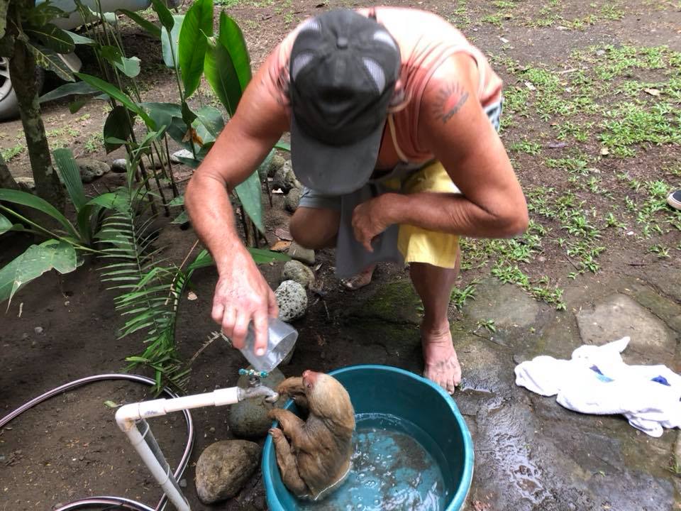 Morgan's Jungle Lodge