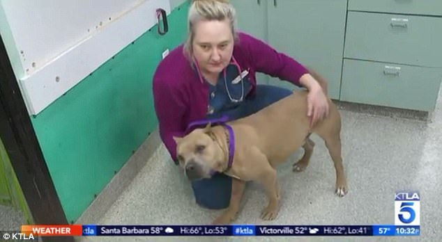KTLA