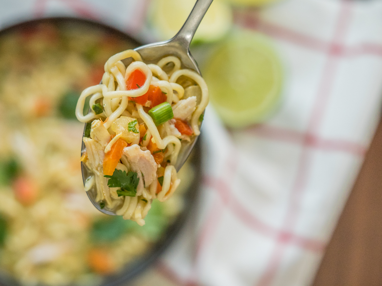 Asian Chicken Noodle Soup Horizontal 5