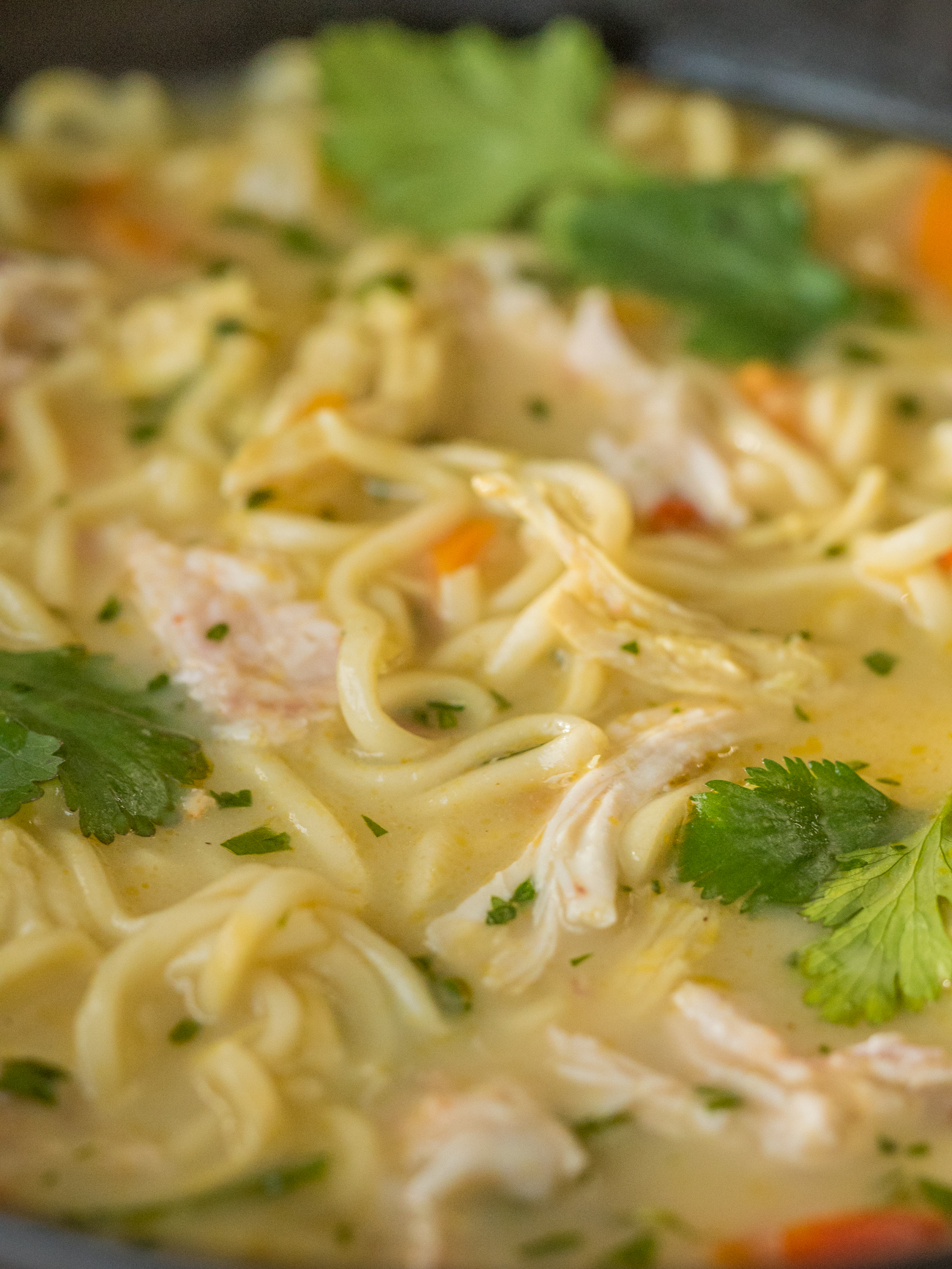 Asian Chicken Noodle Soup Vertical 1