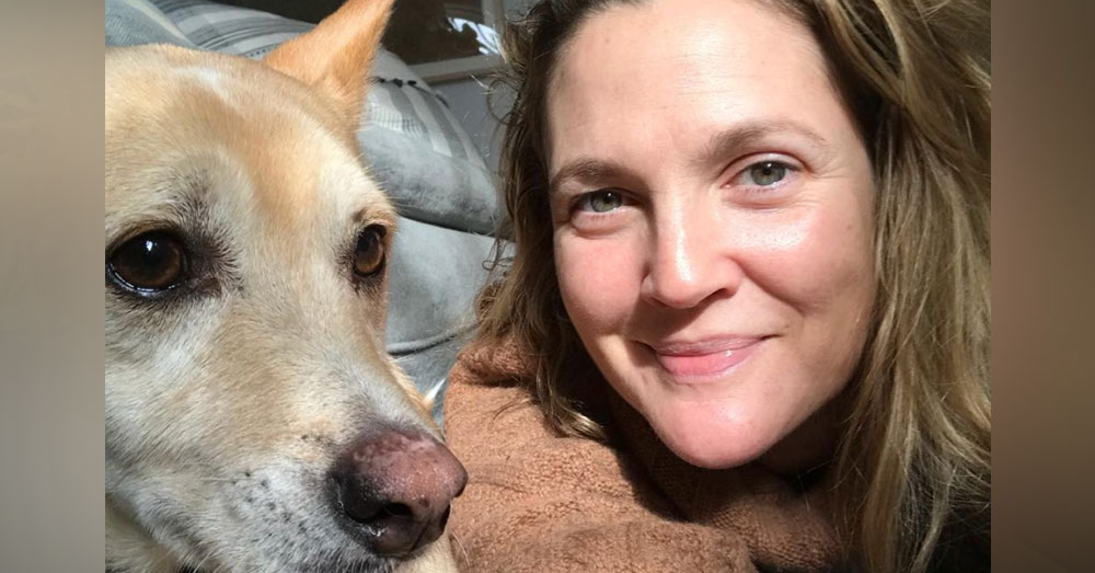 Source: Instagram/drewbarrymore