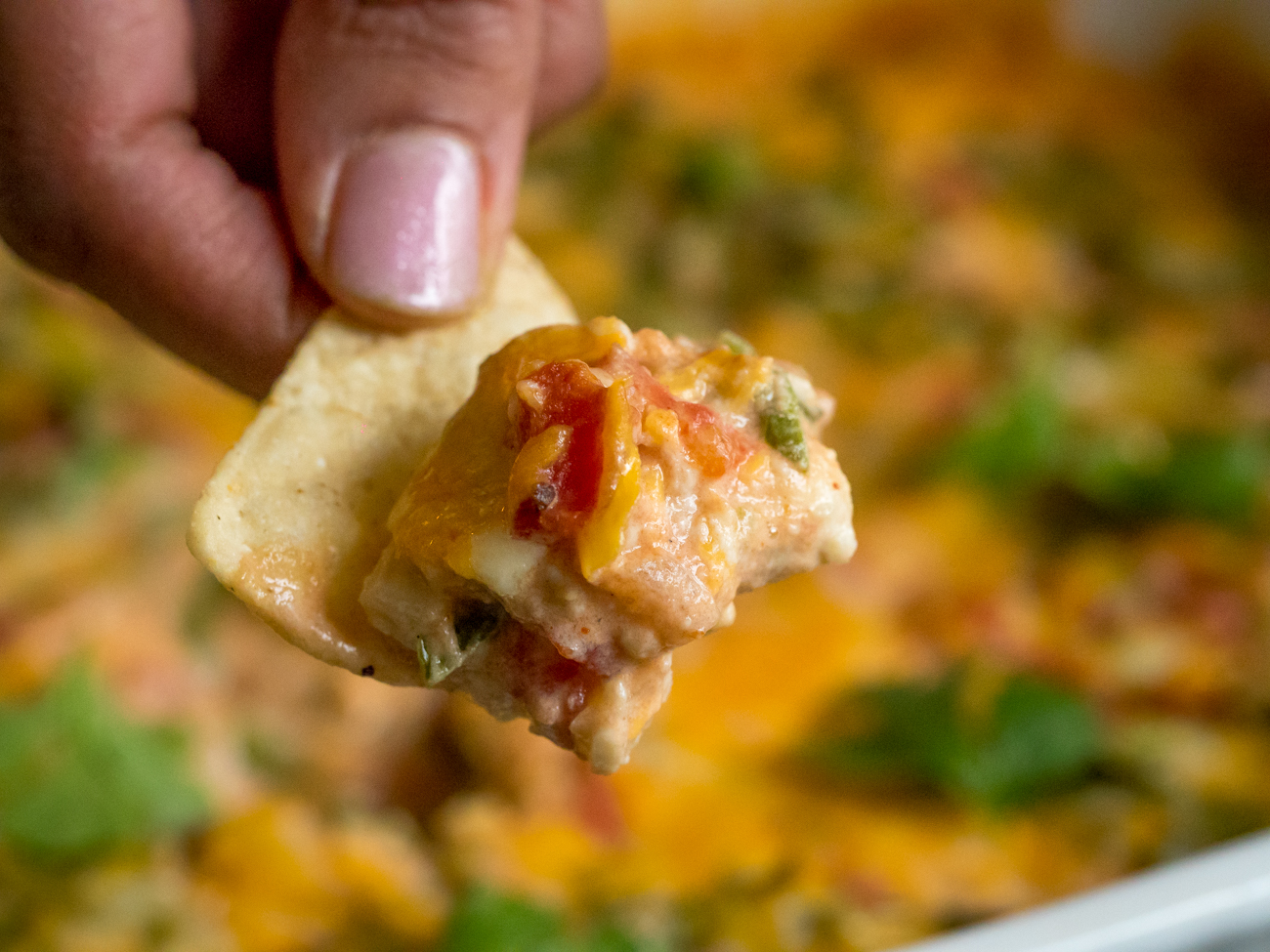 Cheesy Mexican Spinach Dip 12 Tomatoes
