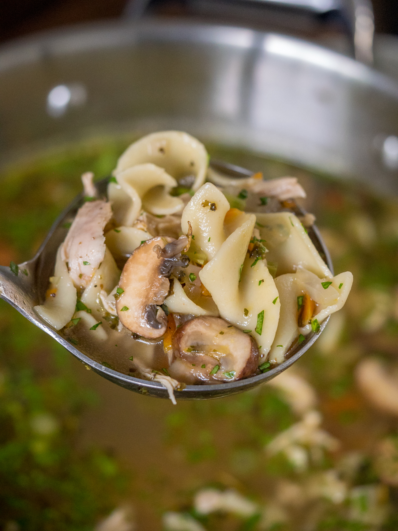 Green Tea Chicken Noodle Soup Vertical 3