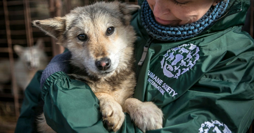 Photo:HSI/Jean Chung