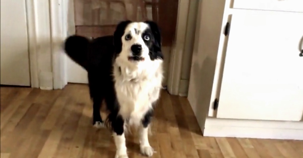 MYAtheAussie