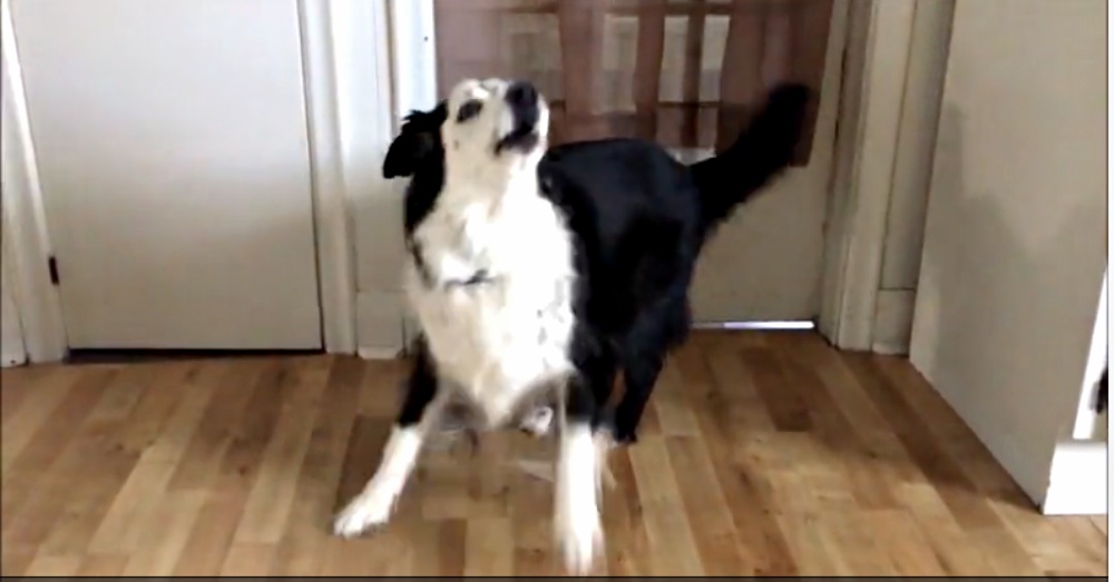 MYAtheAussie