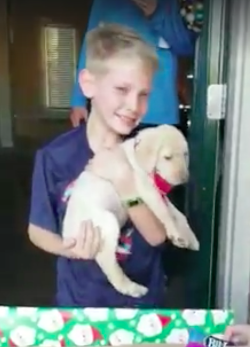 Facebook/Mid South Puppies