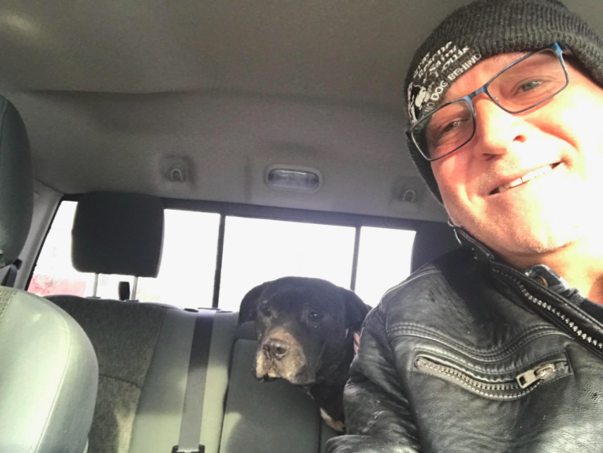 stray rescue of st. louis