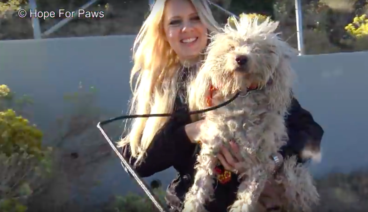 Hope For Paws