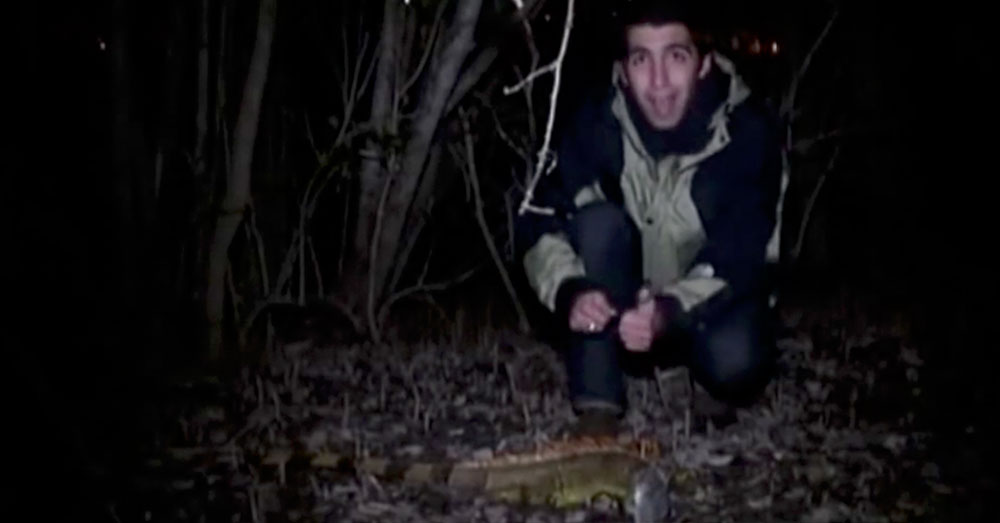 Source: YouTube/breakingnews11An ABC news reporter kneels near one of the fallen iguanas, which can reach up to 6 feet in length.