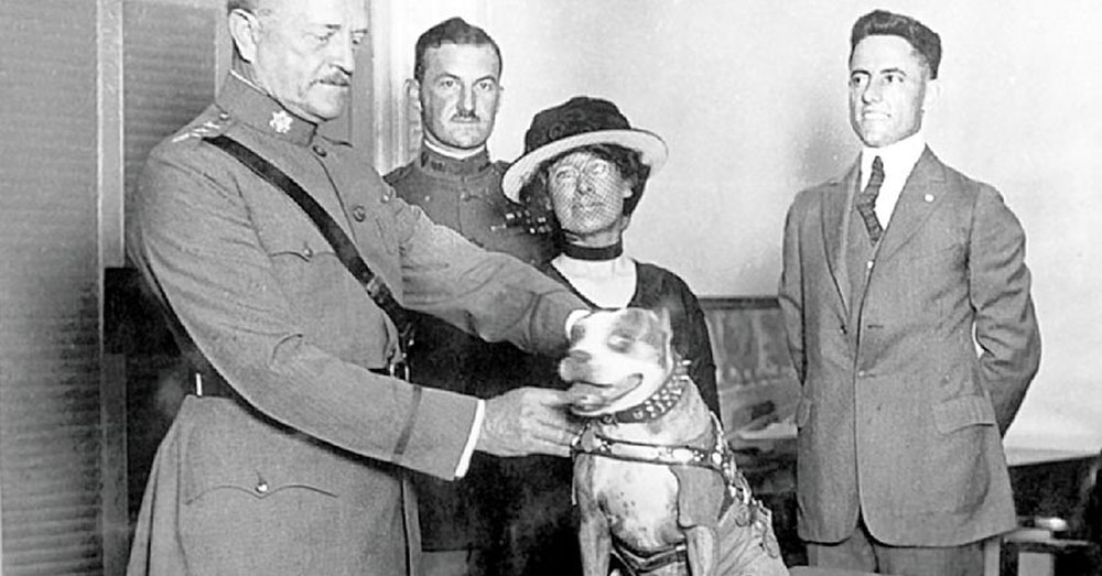 Source: Wikimedia Commons General John J. Pershing awards Sergeant Stubby with a medal in 1921.
