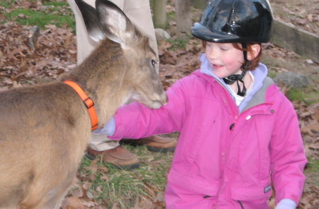 Catherine Violet Hubbard Animal Sanctuary