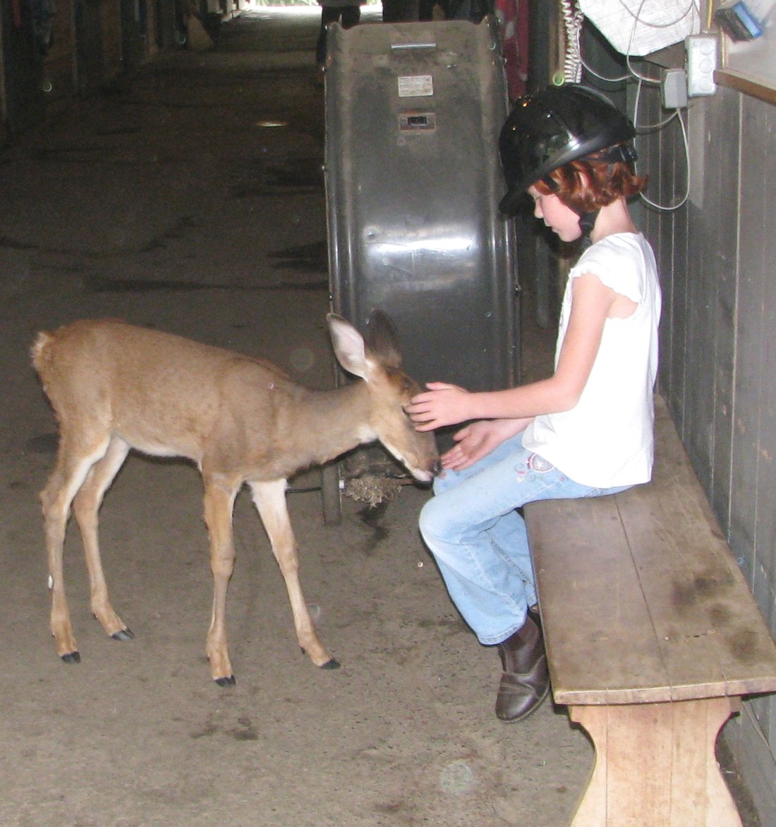 Catherine Violet Hubbard Animal Sanctuary