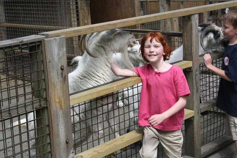 Catherine Violet Hubbard Animal Sanctuary