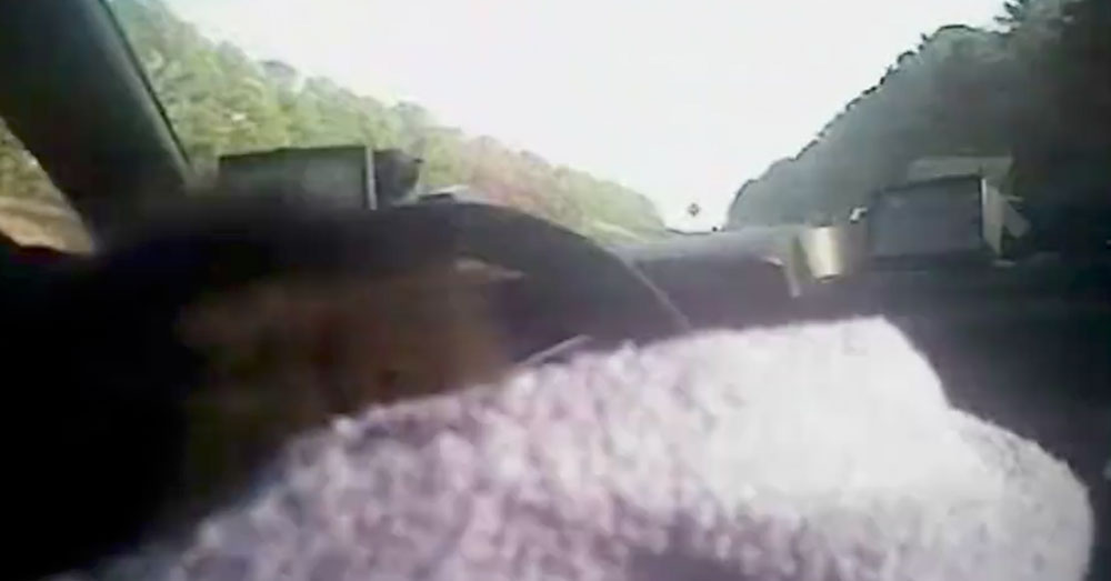 Source: Facebook/Henrico County Police Headed to Henrico County Animal Protection.