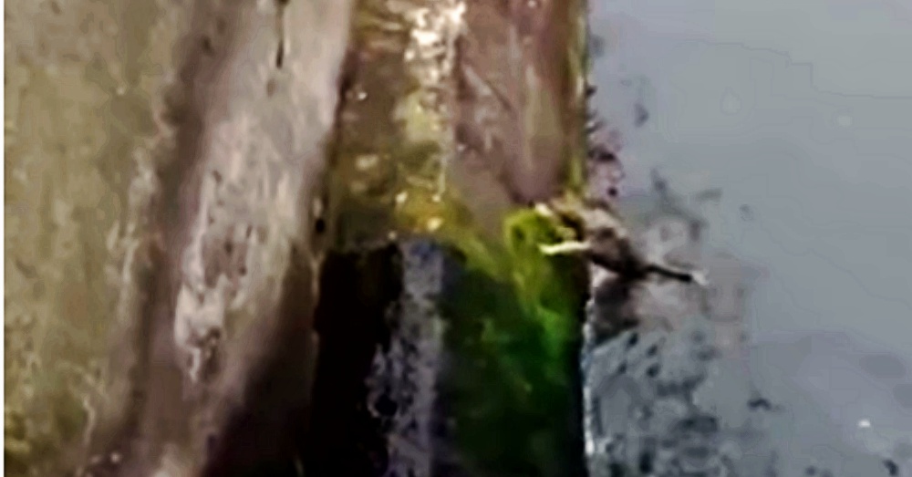 Screenshot: Youtube/Optrex
