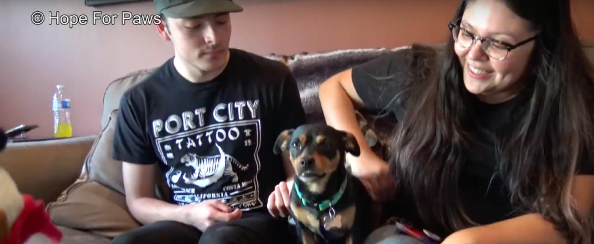 hope for paws