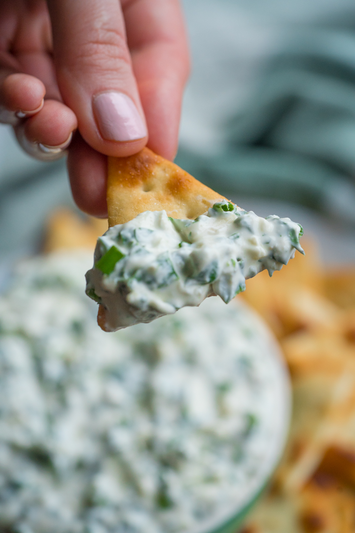 Green Onion Dip Vertical (10 of 13)