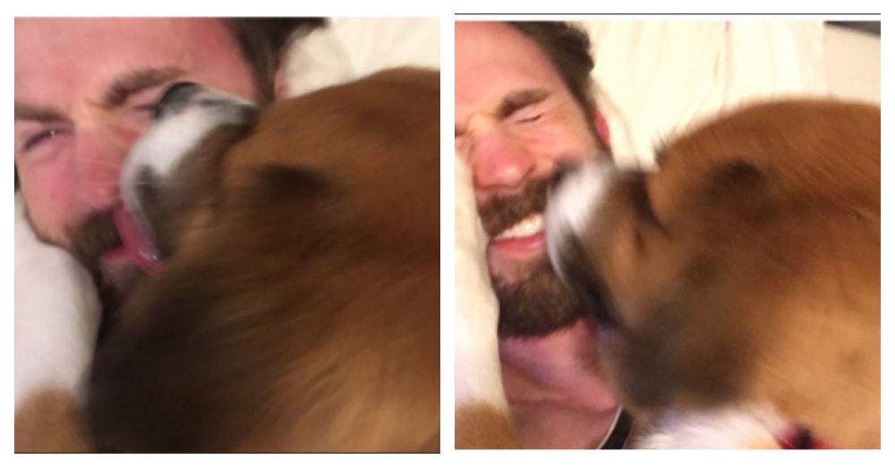 Photo: Twitter/Chris Evans