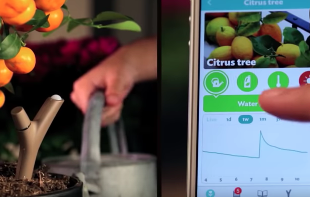 garden gadgets digging screen shot 20180508 at 113337 am 10 insanely clever garden gadgets for the gardener who has garden gadgets digging screen shot 20180508 at 113337 am 10 insanely clever garden gadgets for the gardener who has