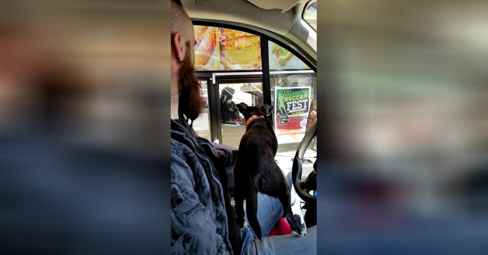 Photo: Facebook/Pinky Paws Search & ResQ