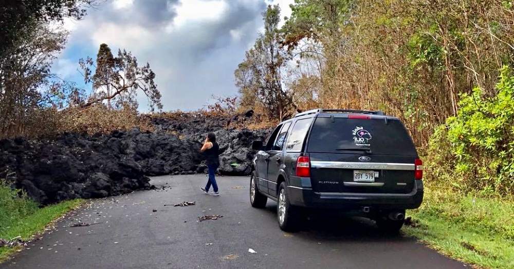 Two Dogs Rescued in Hawaii After Being Surrounded By Lava For 10 Days