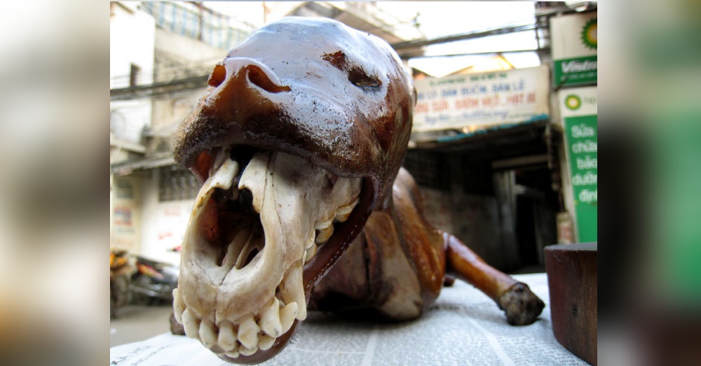 Photo: Flickr/KaoG
