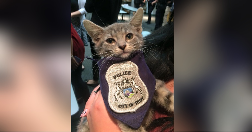 Photo: Facebook/Troy Police Department
