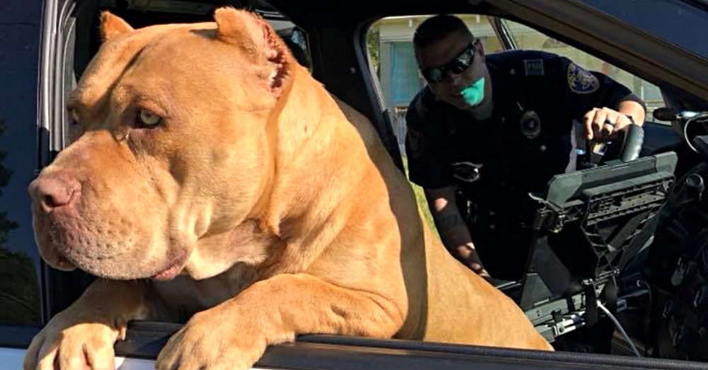 Photo: Facebook/Texarkana Texas Police Department