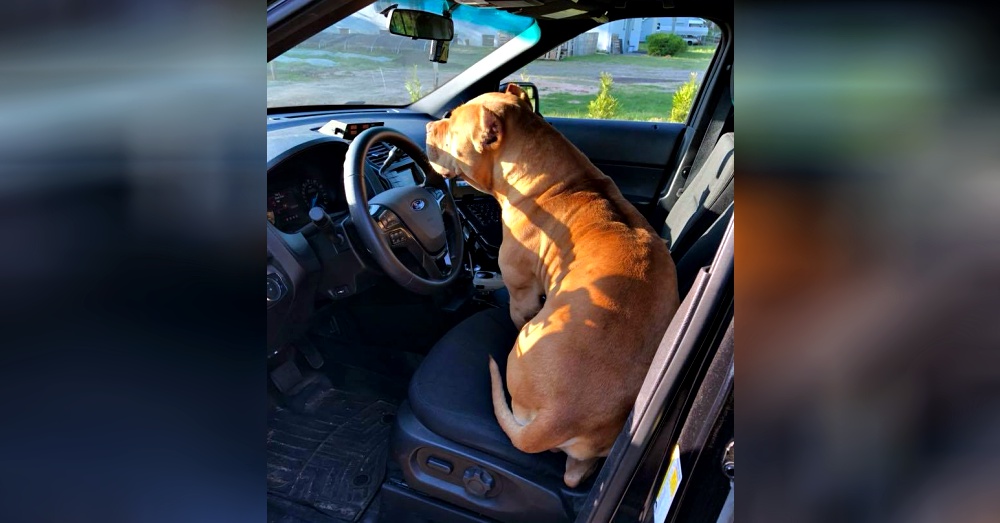 Photo: Facebook/Texarkana Texas Police Department