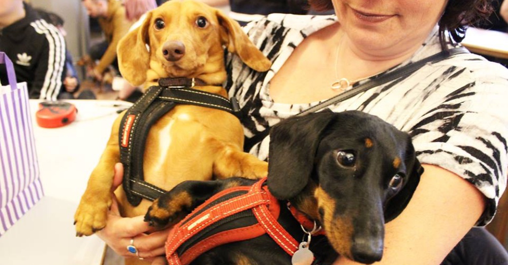 Photo: Facebook/ Dachshund Cafe