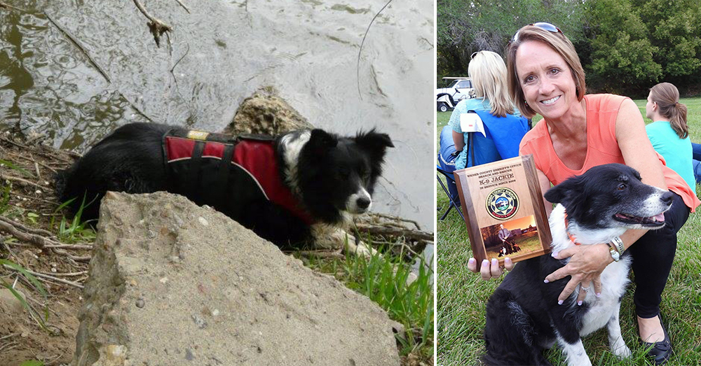 Source: Facebook/Weber County Search and Rescue Jackie was awarded for her valiant work.