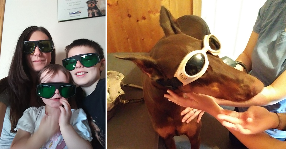 Source: Facebook/Copper's Road To Recovery Copper and family prepare for laser therapy.